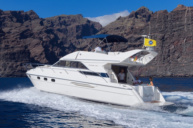 Tenerife: Whale & Dolphin Watching Yacht Tour with Transfer