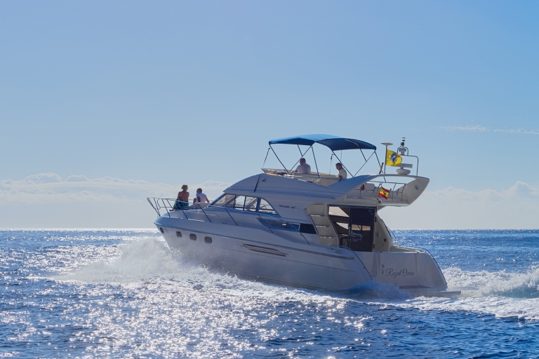 Tenerife: Whale & Dolphin Watching Yacht Tour with Transfer
