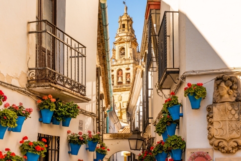 Córdoba: Schnitzeljagd und Stadt-Highlights Audio Guide Spiel