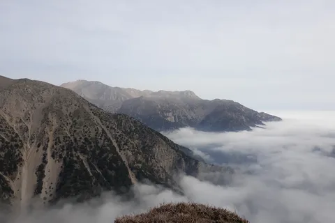 Chania: Tour Safari delle Montagne Bianche con pranzo e degustazioni