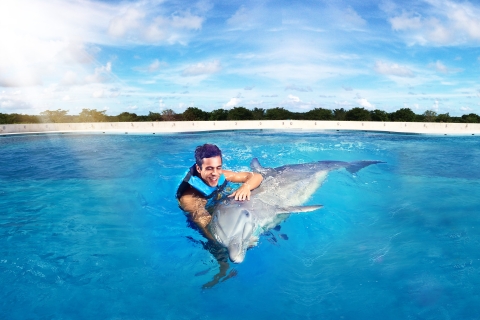 Punta Cana: Pływanie i spotkania z delfinamiDolphin Royal Swim - Zaawansowane
