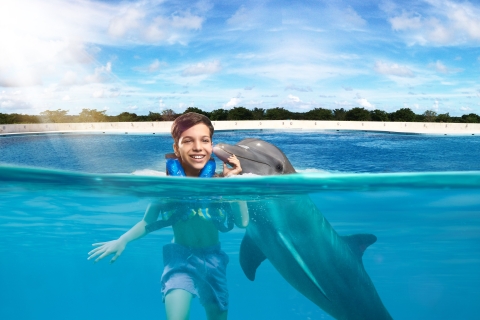 Punta Cana: Pływanie i spotkania z delfinamiDolphin Royal Swim - Zaawansowane