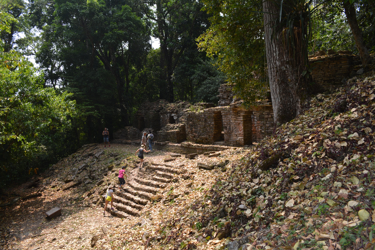 Palenque: 2-dagars utflykt till Lacandon Jungle, Yaxchilan och Bonampak2 dagar: Lacandon-djungeln, den förlorade staden och Bonampak