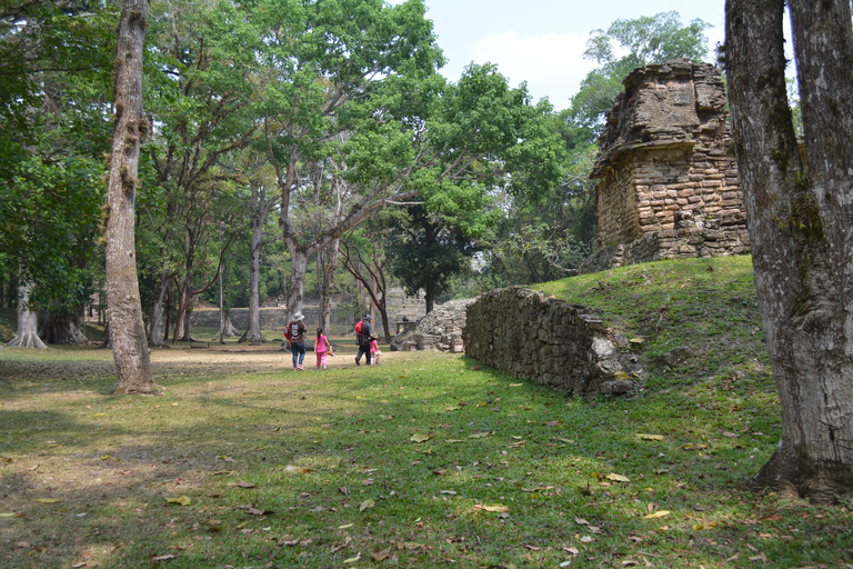 Palenque: 2-dagars utflykt till Lacandon Jungle, Yaxchilan och Bonampak2 dagar: Lacandon-djungeln, den förlorade staden och Bonampak