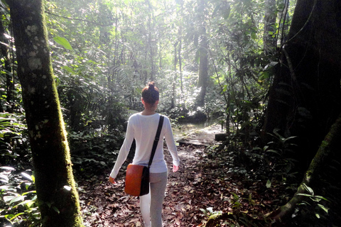 Palenque: 2-dagars utflykt till Lacandon Jungle, Yaxchilan och Bonampak2 dagar: Lacandon-djungeln, den förlorade staden och Bonampak