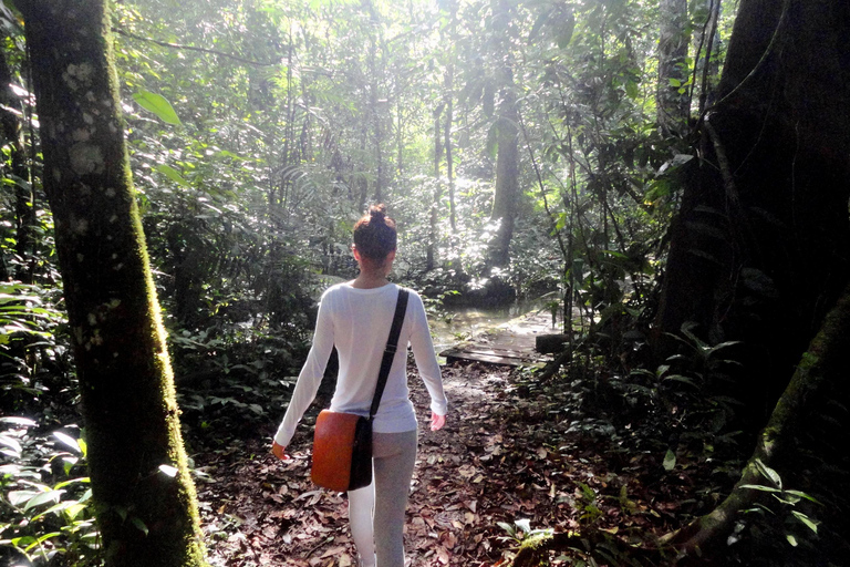 Palenque: 2-dagars utflykt till Lacandon Jungle, Yaxchilan och Bonampak2 dagar: Lacandon-djungeln, den förlorade staden och Bonampak