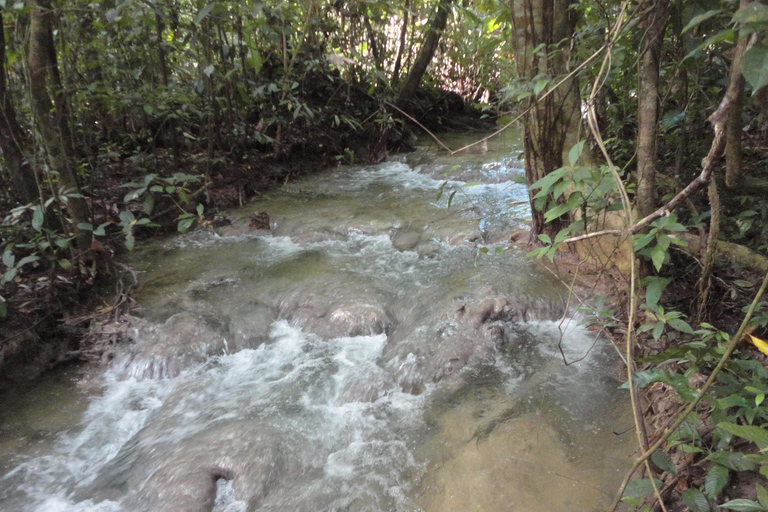Palenque: 2-dagars utflykt till Lacandon Jungle, Yaxchilan och Bonampak2 dagar: Lacandon-djungeln, den förlorade staden och Bonampak