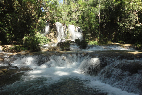 Palenque: 2-dagars utflykt till Lacandon Jungle, Yaxchilan och Bonampak2 dagar: Lacandon-djungeln, den förlorade staden och Bonampak