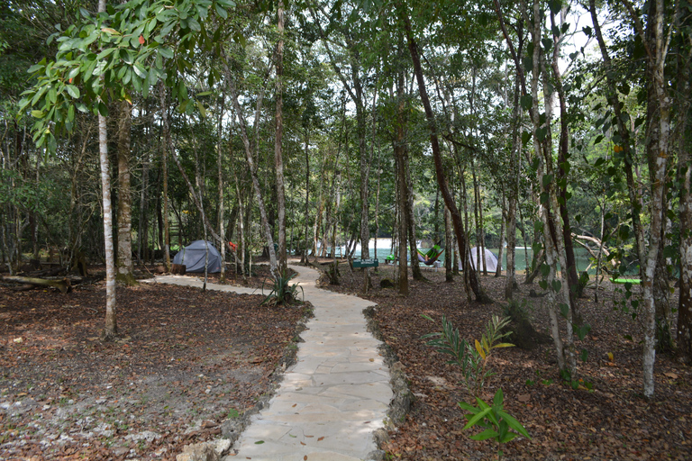 Palenque: 2-dagars utflykt till Lacandon Jungle, Yaxchilan och Bonampak2 dagar: Lacandon-djungeln, den förlorade staden och Bonampak