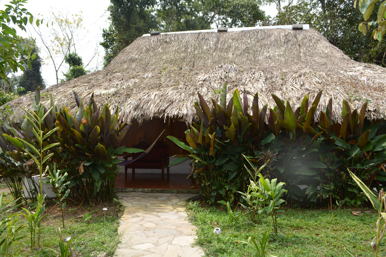 Palenque: 2-dagars utflykt till Lacandon Jungle, Yaxchilan och Bonampak2 dagar: Lacandon-djungeln, den förlorade staden och Bonampak