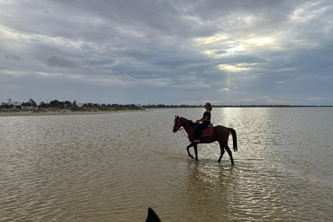 Djerba: Lezione di equitazione per principianti per adulti e bambini.