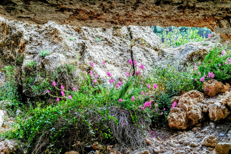 Malta: Najważniejsze atrakcje przyrodnicze Prywatna wycieczka piesza z transportemMalta: Chadwick Lakes, Victoria Lines i Bingemma Nature Tour