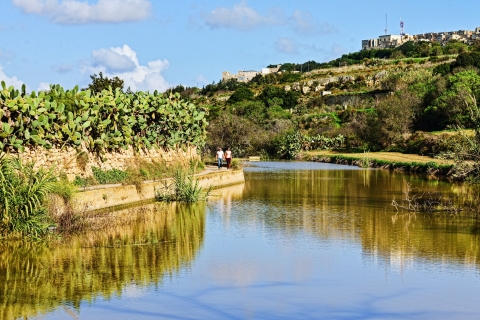 Malta: Lo más destacado de la naturaleza Excursión privada a pie con transporteMalta: lagos Chadwick, Victoria Lines y Bingemma Nature Tour
