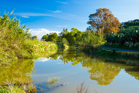 Malta: Najważniejsze atrakcje przyrodnicze Prywatna wycieczka piesza z transportemMalta: Chadwick Lakes, Victoria Lines i Bingemma Nature Tour