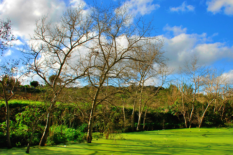 Malta: Natur-Highlights Private Wandertour mit TransportMalta: Chadwick Lakes, Victoria Lines & Bingemma Nature Tour