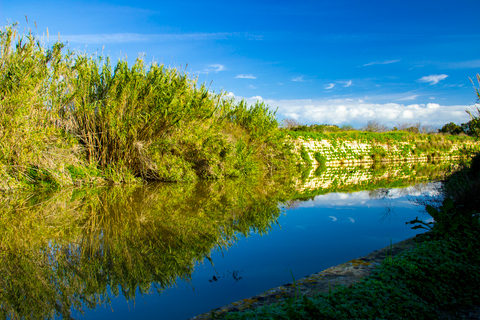 Malta: Lo más destacado de la naturaleza Excursión privada a pie con transporteMalta: lagos Chadwick, Victoria Lines y Bingemma Nature Tour