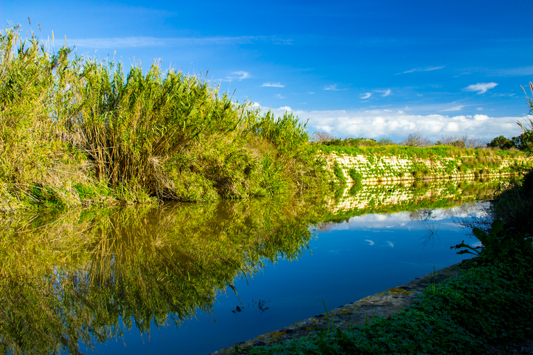 Malta: Lo más destacado de la naturaleza Excursión privada a pie con transporteMalta: lagos Chadwick, Victoria Lines y Bingemma Nature Tour