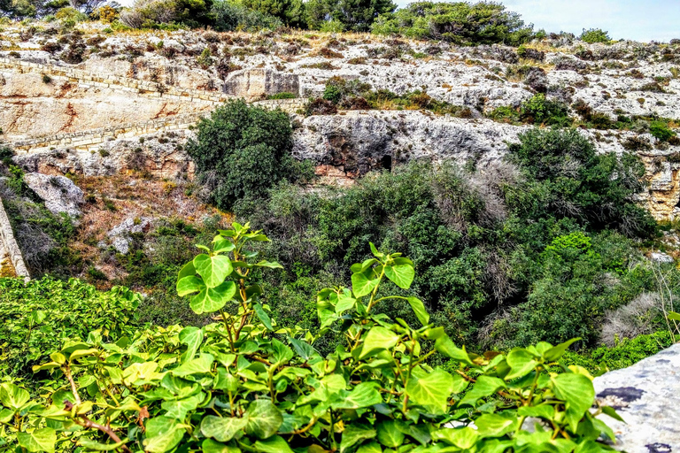 Malta: Najważniejsze atrakcje przyrodnicze Prywatna wycieczka piesza z transportemMalta: Chadwick Lakes, Victoria Lines i Bingemma Nature Tour