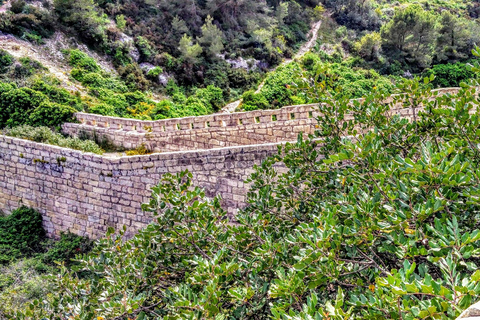 Malta: Najważniejsze atrakcje przyrodnicze Prywatna wycieczka piesza z transportemMalta: Chadwick Lakes, Victoria Lines i Bingemma Nature Tour