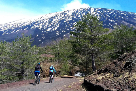 Mount Etna: electric mountain Bike Rental Full Suspension e-MTB Fork 180mm