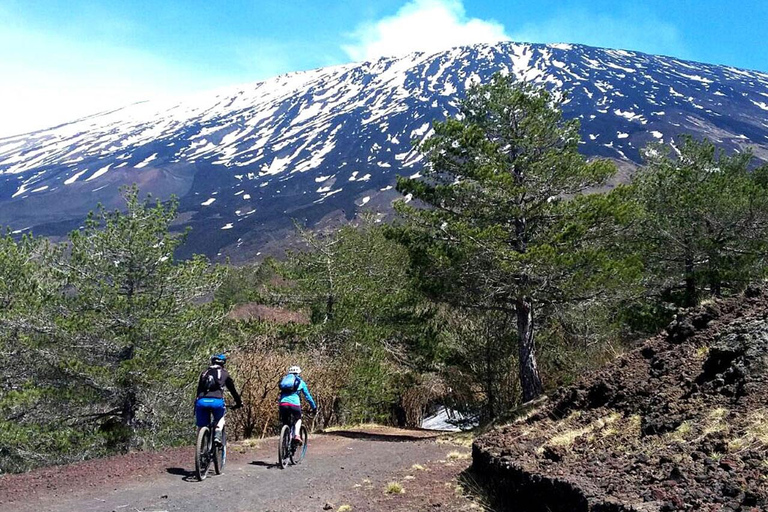 Mount Etna: electric mountain Bike Rental Full Suspension e-MTB Fork 180mm