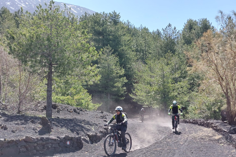 Mount Etna: electric mountain Bike Rental Full Suspension e-MTB Fork 180mm