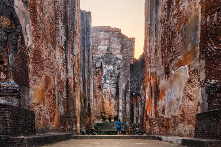 Day Trip to the Ancient Capital of Polonnaruwa From Colombo