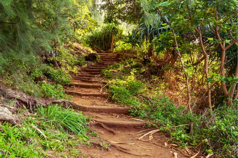 Kauai Zelfgeleide Autorit Met Hoogtepunten Van Het Eiland GetYourGuide