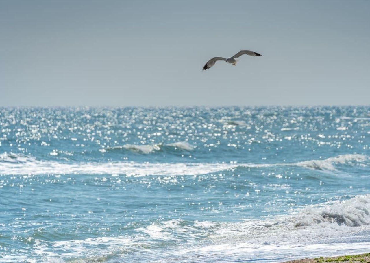 Private Tour am Schwarzen Meer ab Bukarest, Tagestour nach Constanța