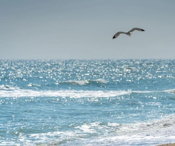 Black Sea Private Tour, Day Trip to Constanta from Bucharest