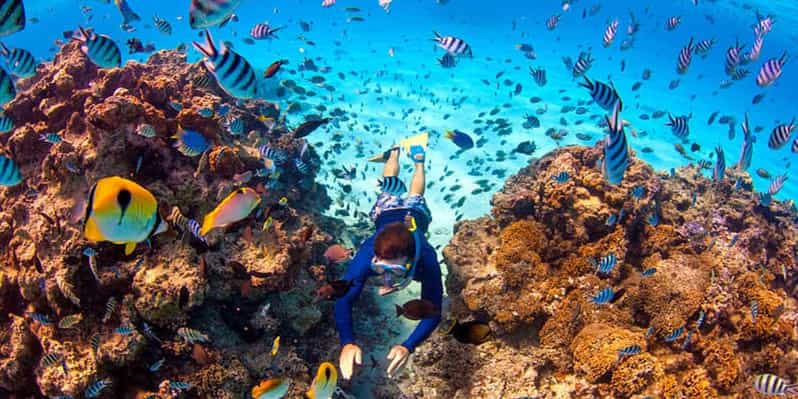 Sharm El Sheikh: Colored Canyon, Blue Hole, & Dahab Day Trip | GetYourGuide