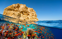 Sharm El Sheikh, Colored Canyon, Blue Hole & Dahab Day Trip - Housity