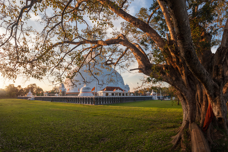 Da Negombo: Escursione di una giornata intera alla città Unesco di AnuradhapuraDa Negombo: viaggio di un&#039;intera giornata nella città UNESCO di Anuradhapura