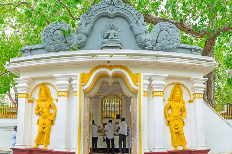 Da Negombo: Escursione di una giornata intera alla città Unesco di AnuradhapuraDa Negombo: viaggio di un&#039;intera giornata nella città UNESCO di Anuradhapura