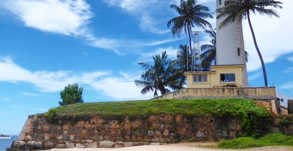 Negombo: Schildkrötenbrüterei, Fluss-Safari, Mondstein & Galle