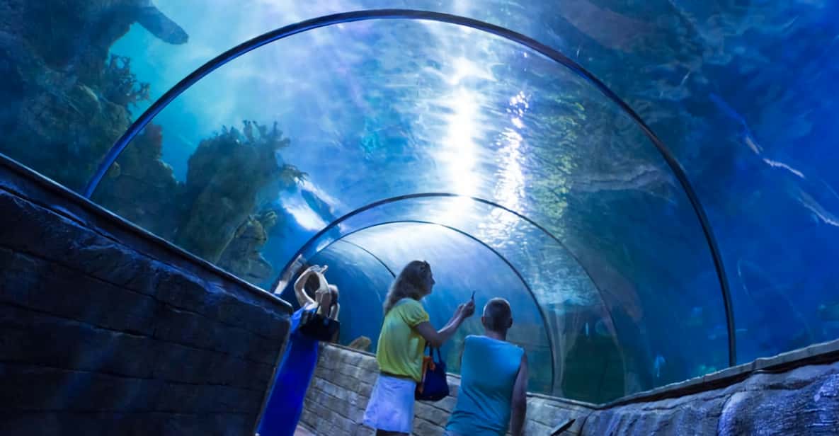 St. Paul's Bay Malta National Aquarium Entry Ticket GetYourGuide