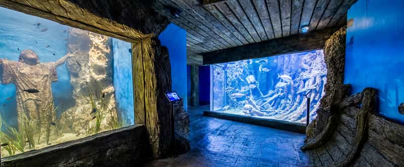 St. Paul's Bay entrada al Acuario Nacional de Malta GetYourGuide