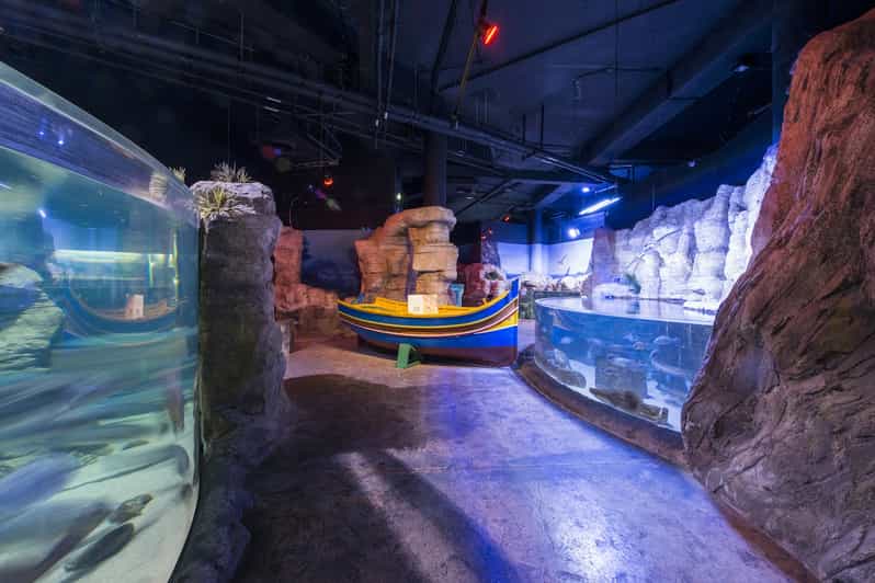 St. Paul's Bay Malta National Aquarium Entry Ticket GetYourGuide