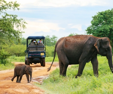 Colombo/Negombo: Sigiriya, Kandy, Ella 3-daagse reis met trein