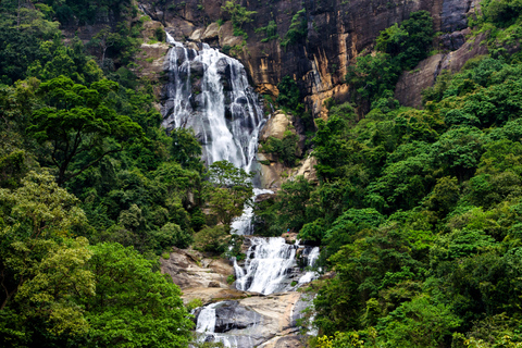 Colombo/Negombo: Sigiriya, Kandy, Ella 3-tägige Reise mit dem ZugColombo/Negombo: 3-tägige Sigiriya, Kandy, & Ella Reise & Zug