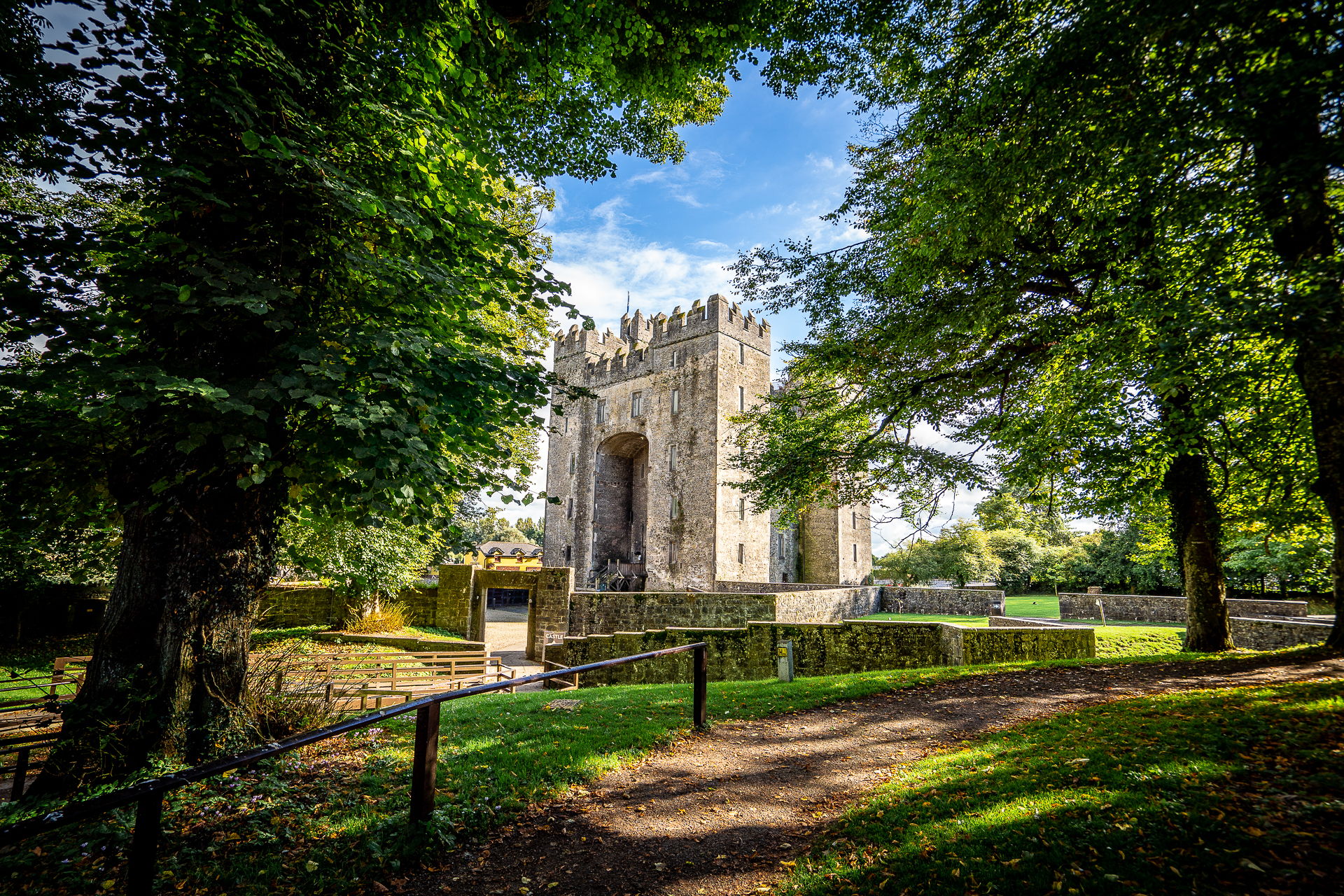 Bunratty Castle & Folk Park: Tagesticket
