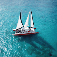 Barbade, visite en catamaran avec plongée en apnée et déjeuner - Housity