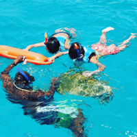 Barbade, visite en catamaran avec plongée en apnée et déjeuner - Housity