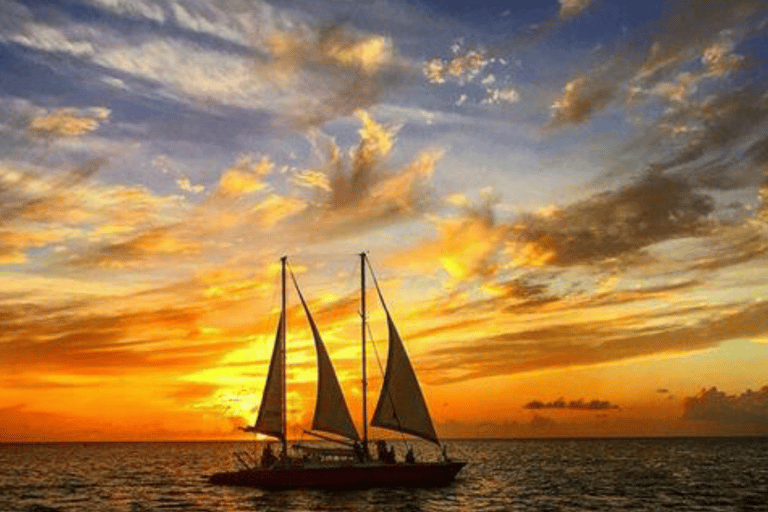 Barbade : Croisière au coucher du soleil, à la découverte des tortues et des épaves, avec collationsPrise en charge à l&#039;hôtel de la côte sud