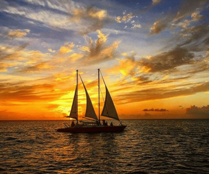 Barbados: Sunset, Turtle, & Shipwreck Cruise w/ Snacks