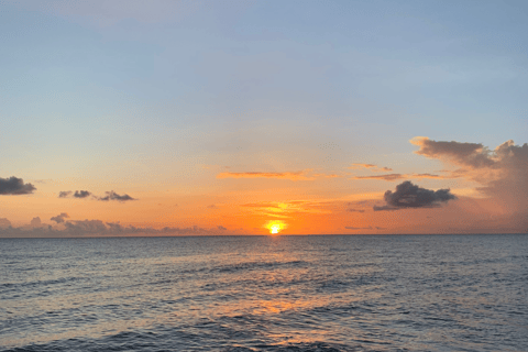 Barbade : Croisière au coucher du soleil, à la découverte des tortues et des épaves, avec collationsPrise en charge à l&#039;hôtel de la côte sud