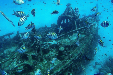 Barbade : Croisière au coucher du soleil, à la découverte des tortues et des épaves, avec collationsPrise en charge à l&#039;hôtel de la côte sud