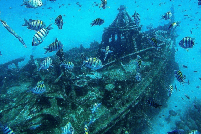 Barbade : Croisière au coucher du soleil, à la découverte des tortues et des épaves, avec collationsPrise en charge à l&#039;hôtel de la côte sud