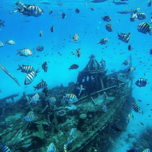 catamaran snorkeling barbados