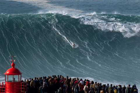 Porto: Traslado particular para Lisboa com paradas em até 3 cidadesPare em 3 cidades